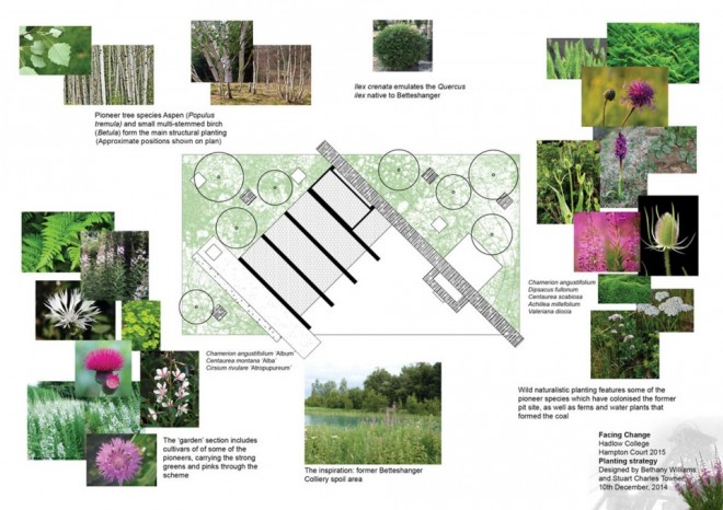 Green Seam Plan in Progress